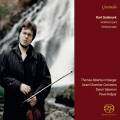 Karl Goldmark : Concerto et sonate pour violon. Irnberger, Salomon, Kaspar.