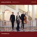 Beethoven : Les trios pour piano, vol. 2. TrioVanBeethoven.