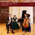 Joseph Mayseder : Musique de chambre, vol. 6. Gelleva, Grn, Lissy.