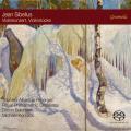 Sibelius : Concerto et autres uvres pour violon. Irnberger, Korstick, Salomon.