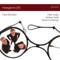 Schubert : Sonata Arpeggione et lieder (arrangements pour arpeggione, accord�on et contreguitare). Hulder, Teufel, Fuschsberger.