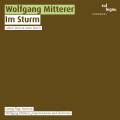 Mitterer : Im Sturm